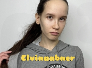 Elvinaabner