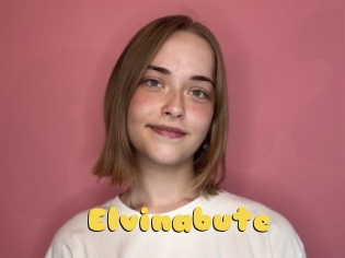 Elvinabute