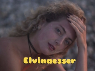 Elvinaesser