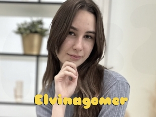 Elvinagomer