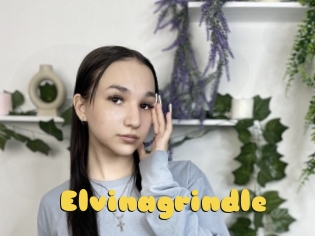 Elvinagrindle