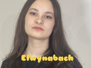 Elwynabach