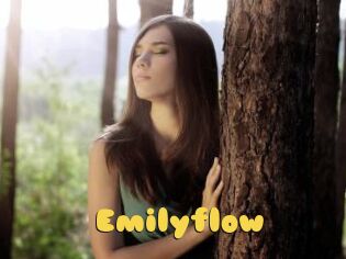 Emilyflow