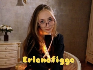 Erlenefigge