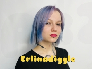 Erlinadiggle