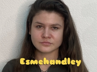 Esmehandley