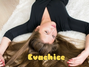 Evachice