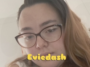 Eviedash