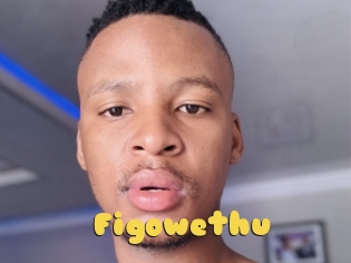 Figowethu