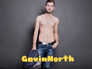 GavinNorth