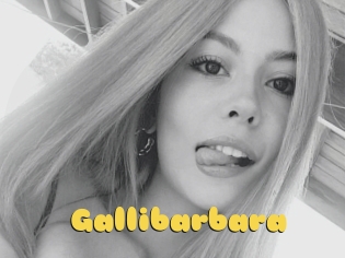 Gallibarbara