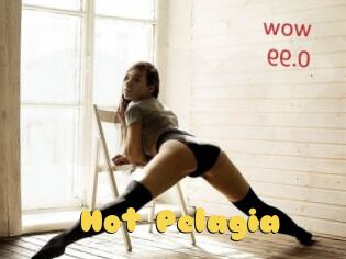 Hot_Pelagia