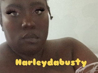 Harleydabusty