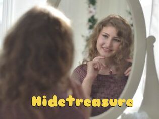 Hidetreasure