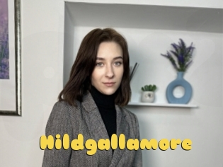 Hildgallamore