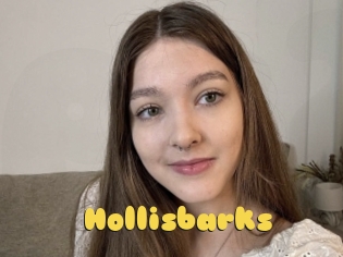 Hollisbarks