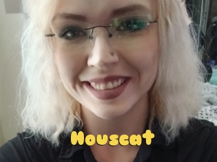 Houscat