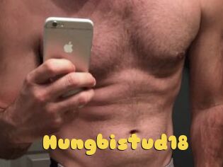 Hungbistud18