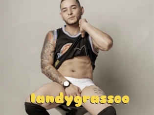 Iandygrassoo