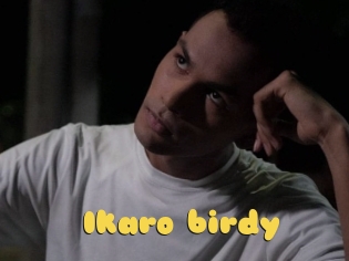 Ikaro_birdy