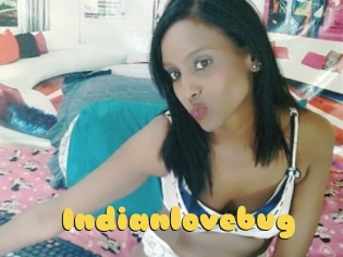 Indianlovebug