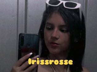 Irissrosse