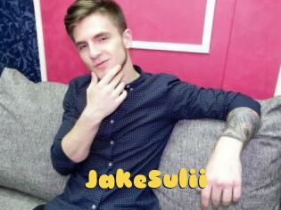 JakeSulii