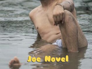 Joe_Novel