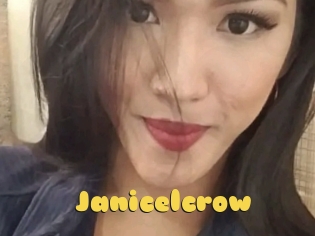 Janicelcrow