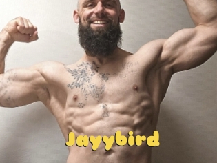 Jayybird