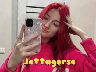 Jettagorse