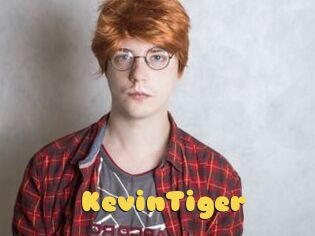 KevinTiger