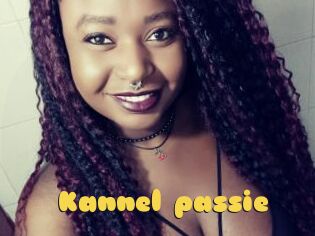 Kannel_passie