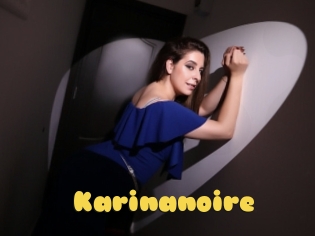 Karinanoire