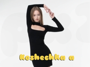 Koshechka_a