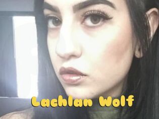 Lachlan_Wolf