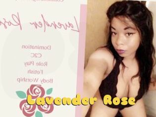 Lavender_Rose