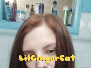 LilGingerCat