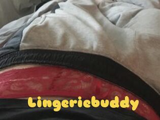 Lingeriebuddy