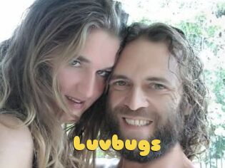 Luvbugs