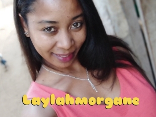 Laylahmorgane