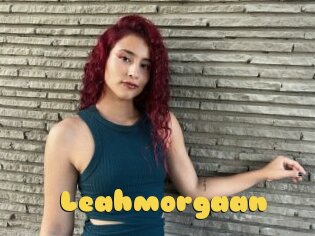 Leahmorgaan