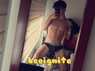 Leoignite