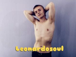 Leonardosoul