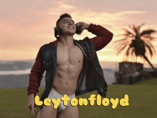 Leytonfloyd