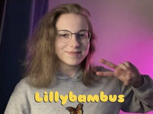 Lillybambus