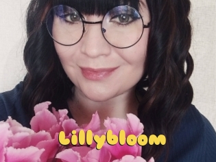 Lillybloom