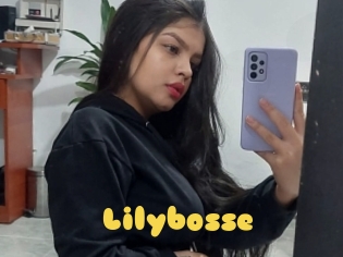 Lilybosse