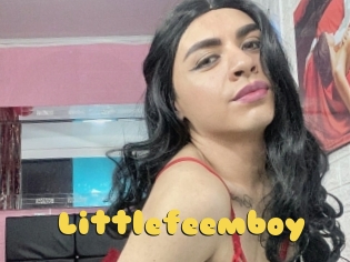 Littlefeemboy