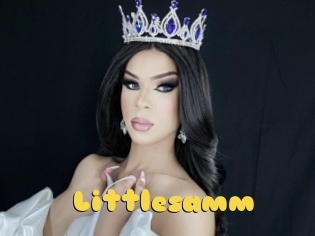 Littlesamm